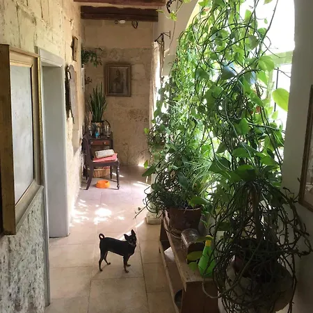Casa Nannakola
