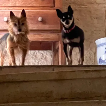 Pansiyon Casa Nannakola Naxxar