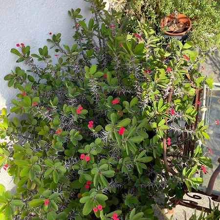 Casa Nannakola *
