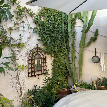 Casa Nannakola